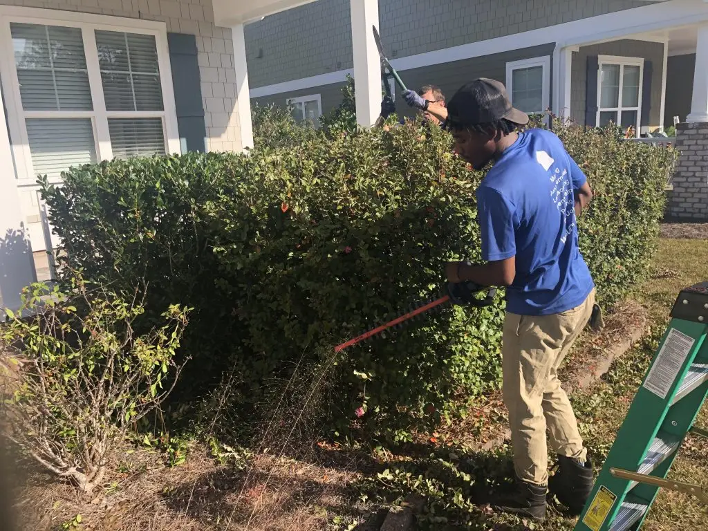 We Surv Wilmington Crew Working on a Landscaping Job Trimming Bushes